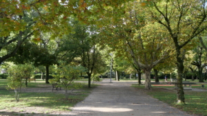 P1013098